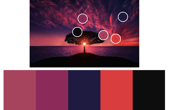 Top 10 Best Color Palette Generators from Images